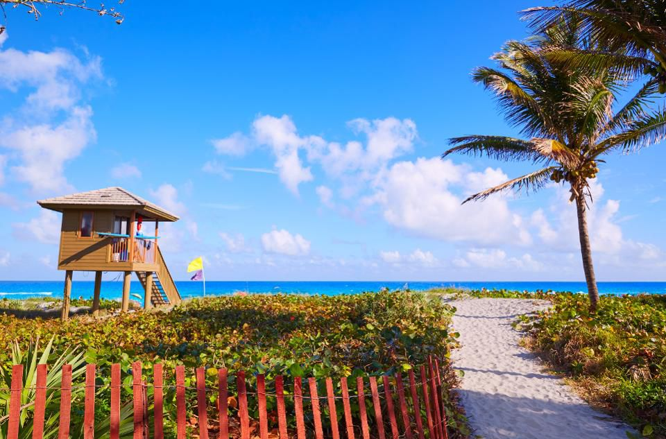 Beach Front View