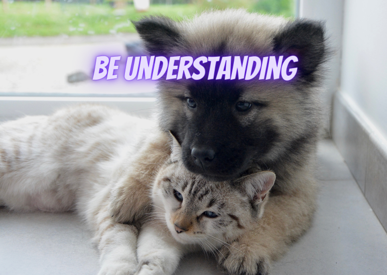 Be Understanding in an Uncertain Environment.